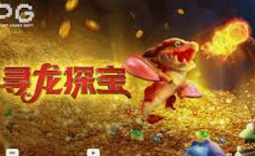 壹号国际app下载免费版